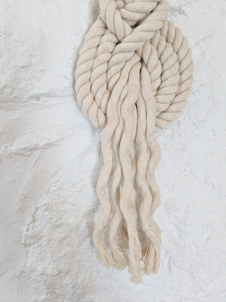 THE PIPA Small Modern Macrame Wall Hanging in Camel/Brown Wall Knot Rope Art Pipa Knot Fiber Art image 2