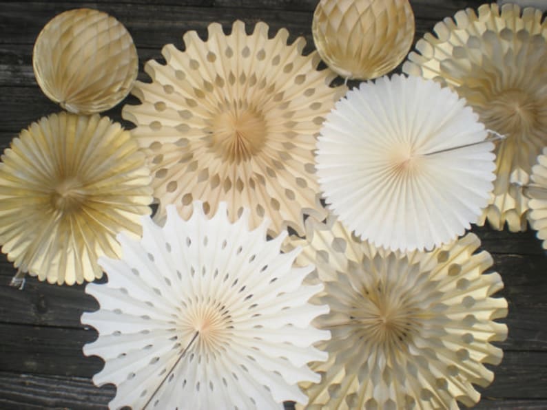 Cream gold champagne blush tissue fans backdrop paper fans for photo backdrop, hanging decorations, table backdrop set of 8 image 1