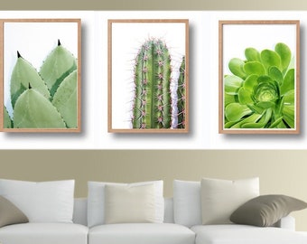Cactus Print, Succulent Botanical Art, Cactus Green Photo, Large Poster, Succulent Photo, Green Landscape, Cactus Photography, Digital Art