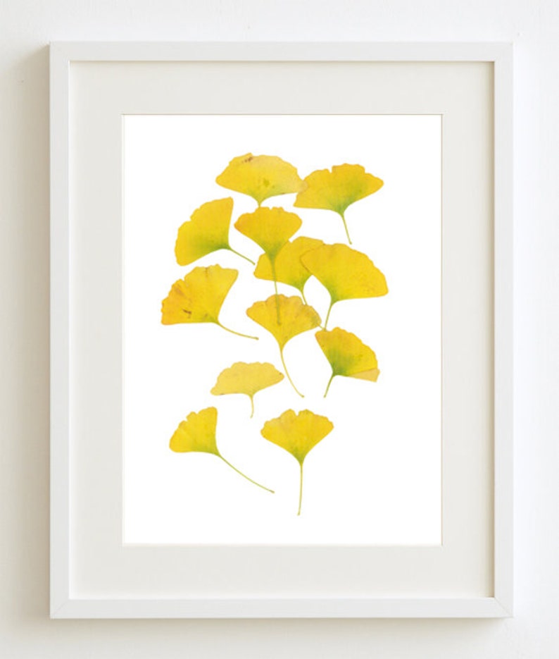 Ginkgo Leaves Gold Yellow Wall Art Botanic Art Gold Home Etsy