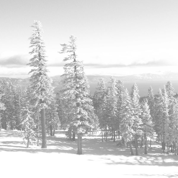 Impression du lac Tahoe en Californie, impression minimaliste, impression noir blanc, Kate Bush, art imprimable, téléchargement déco, photographie moderne, impression moderne