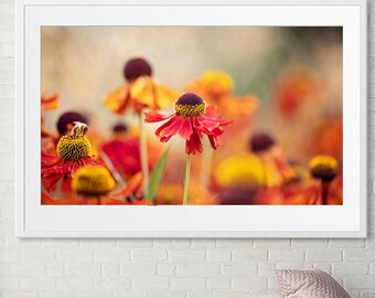 Estampado de flores de naranja: arte mural botánico, colores cálidos