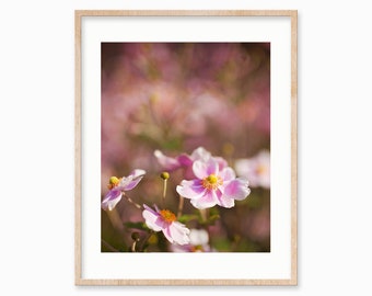 Flower Photography, Wall Art, Botanical Decor, Flower Photo