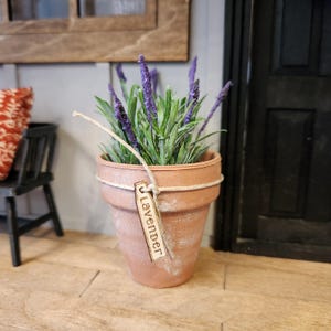 May include: A terracotta-colored flower pot with a lavender plant. The plant has green leaves and purple flowers. A small wooden tag with the word "Lavender" is tied to the pot with twine. The pot is sitting on a wooden surface.