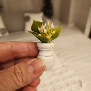 Dollhouse Miniatures plant, home decor, miniature plants, dollhouse accents, 1:12 scale, home greenery