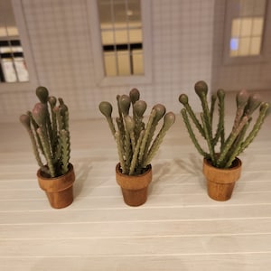 Dollhouse Miniatures plant, home decor, miniature plants, cactus, succulent, dollhouse accents, 1:12 scale, home greenery