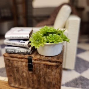 May include: A miniature interior scene featuring a stack of books with the titles "BLOOM", "MONOCHROME STYLE", and "LOFT LIVING". A small white bowl holds green artificial flowers. The items rest on a brown woven trunk.