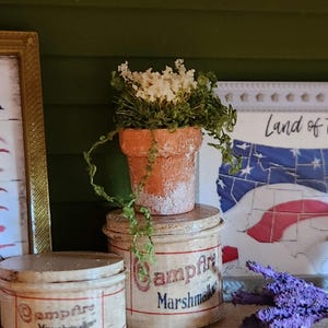 May include: An orange terracotta pot with white flowers and green foliage sits atop a vintage metal container labeled "Campfire Marshmallows." The pot has a weathered appearance. The container has a red and blue label. A second container is partially visible.
