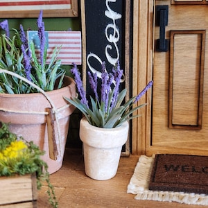 May include: Miniature potted lavender plants in terracotta pots. One pot is white, the other is terracotta. The plants have purple flowers and green leaves. A small welcome mat is in front of a wooden door. A small American flag is visible.
