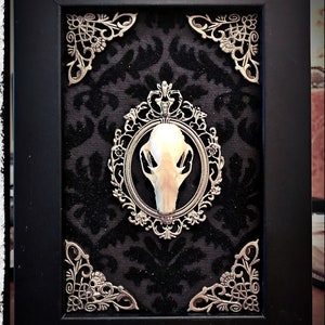 Bat Skull in a Frame