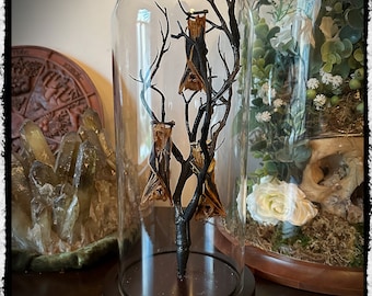 Three Hanging Bat Display  -  In a Glass Dome -  Free Shipping