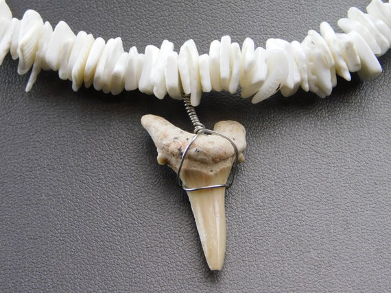 Groovy Vintage Shark Tooth and Shell Necklace w B… - image 2