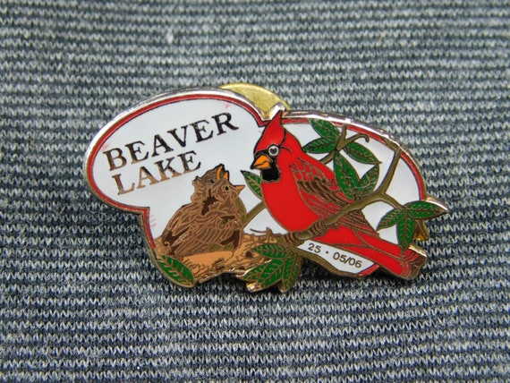 Beaver Lake, New York Cloisonne Enamel Lapel Scat… - image 2