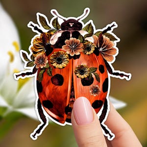 Ladybug with Flowers Car Window Decal Lady bug Waterproof Vinyl Decal Ladybug Sticker