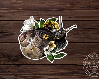 snail art snail lover car sticker bumper sticker snails forestcore nature art