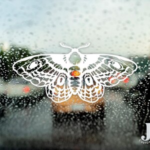 May include: A white moth-shaped decal is affixed to a window covered in raindrops. The moth has intricate wing patterns and a detailed body with orange, red, and black accents. The text "Jen's Custom Printing" is visible in the lower right corner.