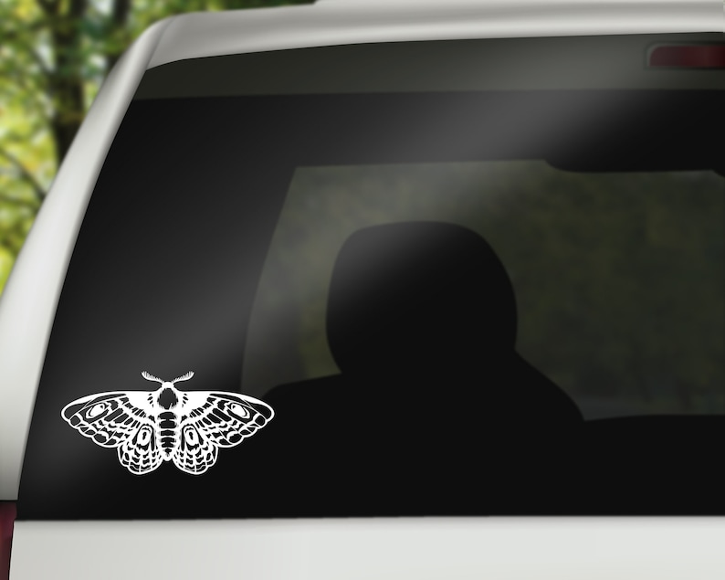 May include: A white die-cut vinyl decal of a moth, featuring intricate wing patterns and antennae. The decal is affixed to the rear window of a white vehicle. The moth design is a detailed illustration.