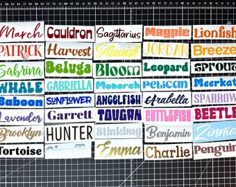 Custom Name Vinyl Decal: Personalized Word Sticker