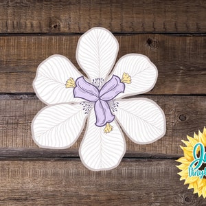 Hand drawn Butterfly Iris Flower Car Window Decal | Flower Car Window Decal | Flowers White Butterfly Iris