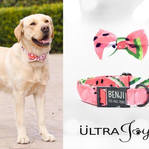 Personalized Dog Collar with Bow Tie, Pink Watermelon Dog Collar with Bowtie Engraved Dog Collar, Cute Dog Collar Custom Dog Collar Girl