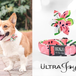 Personalized Dog Collar with Flower, Pink Watermelon Dog Collar Personalized, Engraved Dog Collar, Cute Dog Collar, Custom Dog Collar Girl