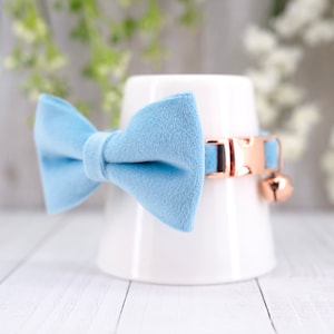 May include: A light blue velvet bow tie cat collar with a rose gold buckle and bell.