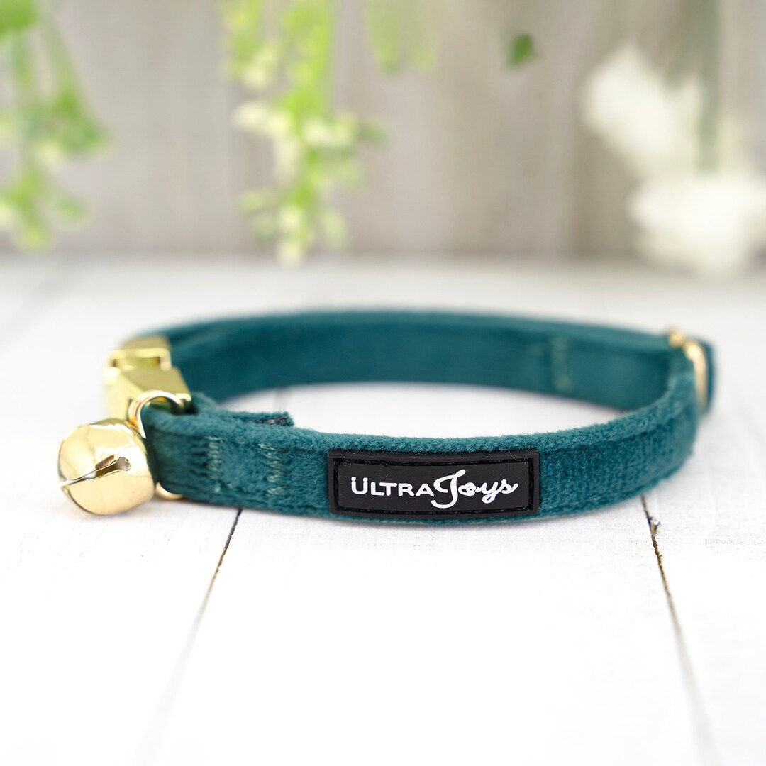 Kitten Collar With Bell Green Velvet Cat Collar Engraved Cat Etsy