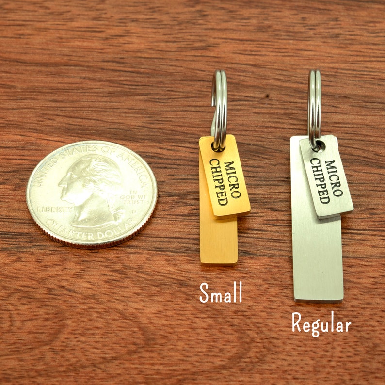 Dog Name Tag, Small Pet Tag Cat, Microchipped Dog Name Tag Dog Collar ...