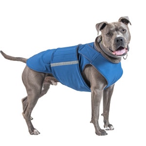 Vetement pour chien american staff best sale