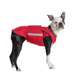 Best dog coat for boston terrier hotsell