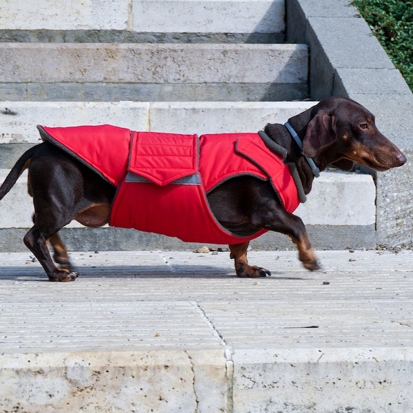 Waterproof Dog Coat With Underbelly Etsy UK
