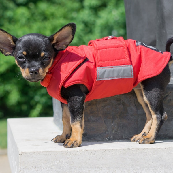 Custom Dog Clothes Etsy