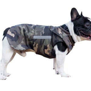 bulldog coats for the winter