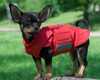 Chihuahua Raincoat - Chihuahua jacket - Waterproof Dog Jacket - custom made for your dog