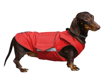 Dog Sweater Perfect for Fall or Winter Custom Made Made to Order with Cute Dressed Dogs Print on Blue Fleece Background