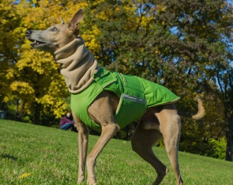 Greyhound / Whippet Abrigo para perros de invierno extra cálido con protección del vientre - Impermeable / Abrigo de vellón + cuello de tortuga / snood - HECHO A PEDIDO