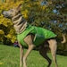 see more listings in the Dog Coats - extra warm section