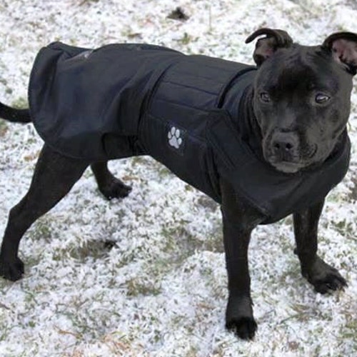 Boxer Extra Warm Winter Dog Coat Large Dog Jacket Custom Etsy