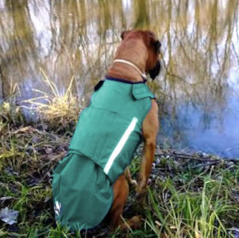 Boxer Winter Dog Coat With Underbelly Protection Dog Jacket Etsy