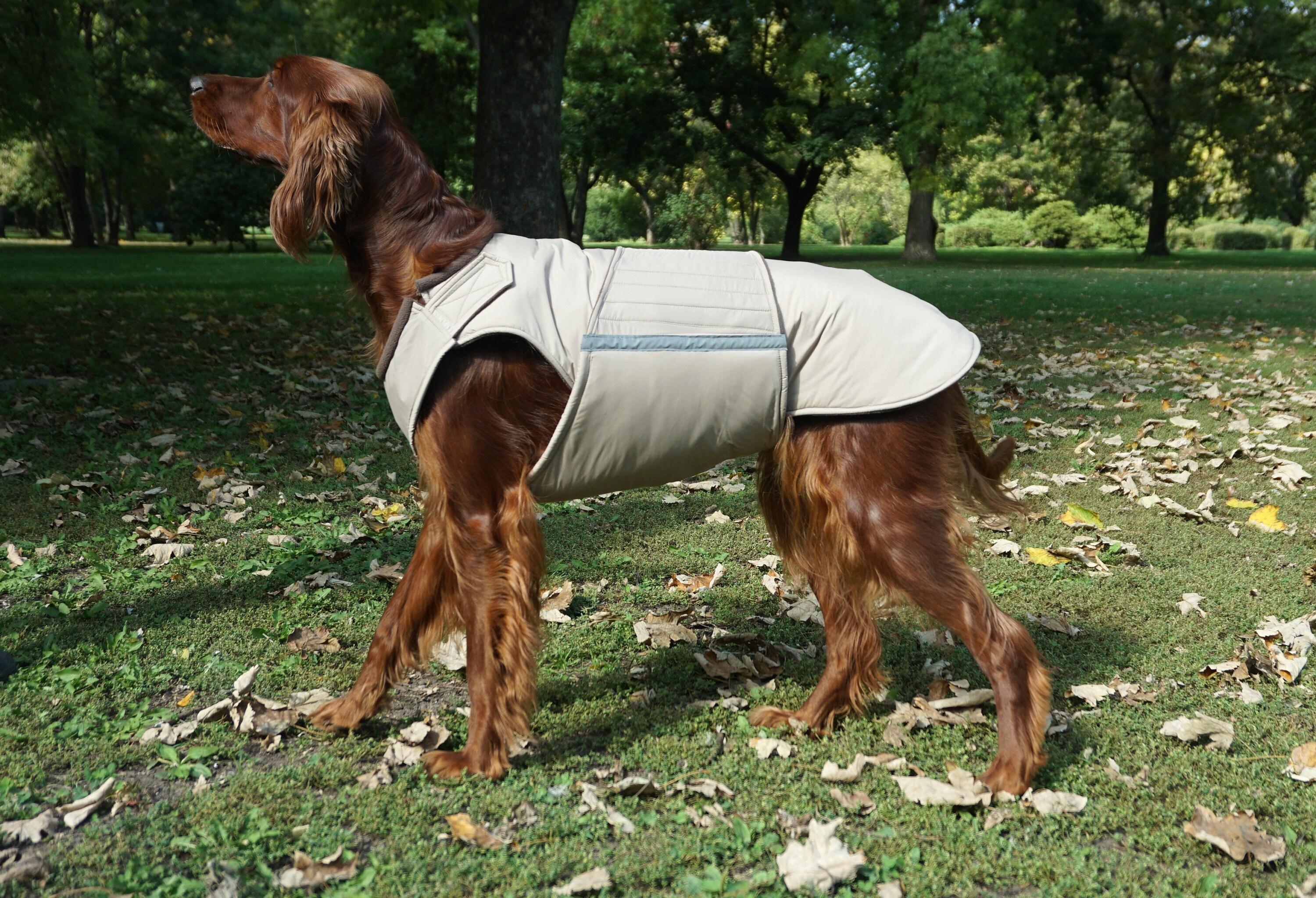 Irish Setter Dog Winter Coat Dog Rain Jacket With Underbelly Etsy UK