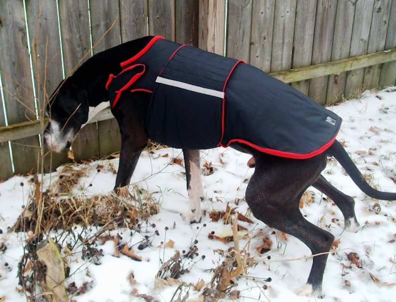 Extra Warm Winter Dog Coat Large Dog Jacket Custom Made Etsy