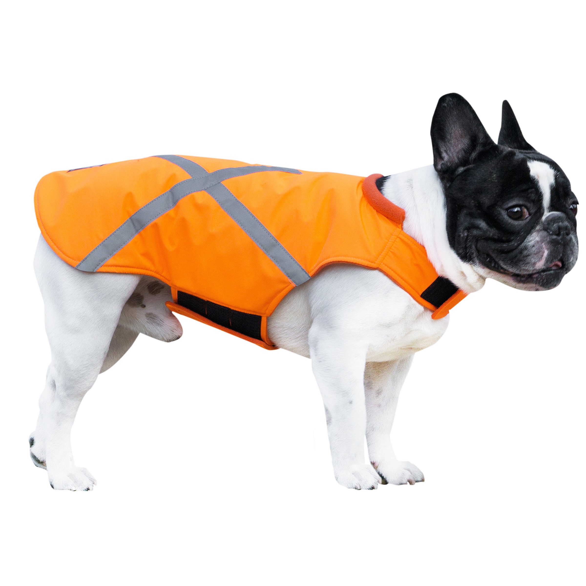 DOG Sichtbarkeitsweste, NEON reflektierende Sicherheitsweste für Hund,  Softshell-Hundemantel, wasserdichter Regenmantel, große Hundeweste,  Hundemantel - .de