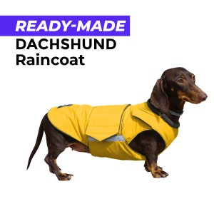 Ready-made Dachshund Raincoat - Dachshund Jacket - Waterproof outer with canvas lining