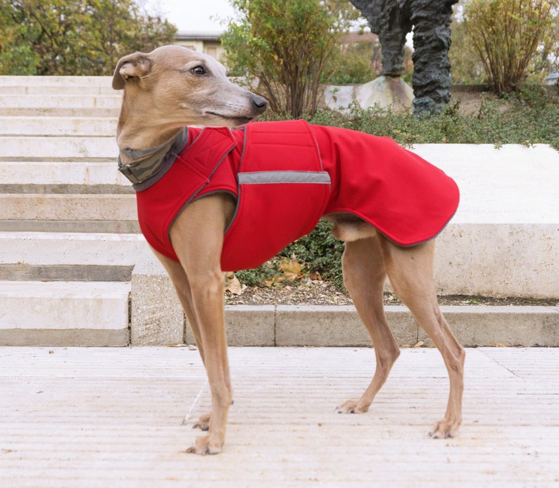 Whippet Coat Winter Dog Jacket with underbelly protection Etsy