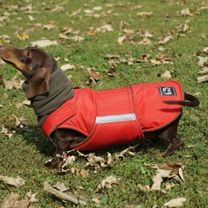 Dachshund Winter Dog Coat with full belly cover and neck warmer Custom made dog clothes Waterproof / Fleece Dog Jacket MADE TO ORDER image 2