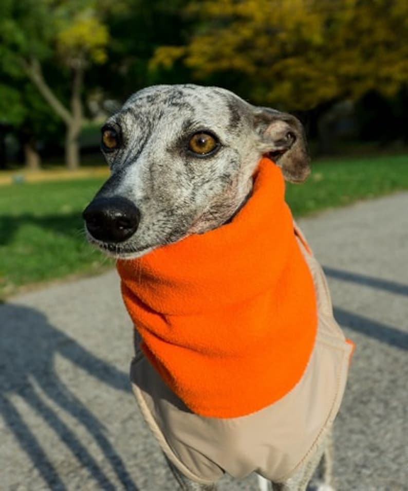 Fleece Neck Warmer Dog Turtleneck Fleece Scarf Addition Etsy