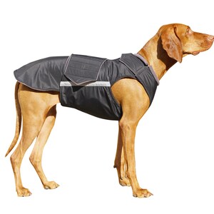 Ready-made Vizsla Winter Coat Vizsla Jacket Waterproof outer with fleece lining image 2