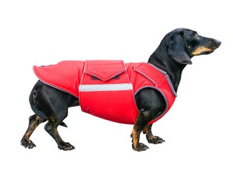 Dachshund Extra Warm Winter Dog Coat with underbelly protection