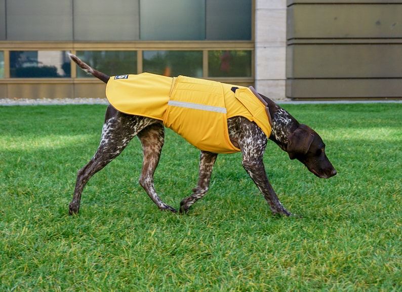 German Pointer Dog Raincoat Dog Jacket Custom Dog Coat Waterproof Dog Clothes Dog Rain Coats Dog clothing MADE TO ORDER image 10