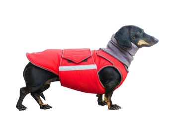 BDSHUNBF Cappottino Cane Taglia Piccola, Cappotto Cane Giacca Per Cani Antivento Ipereabile - 8